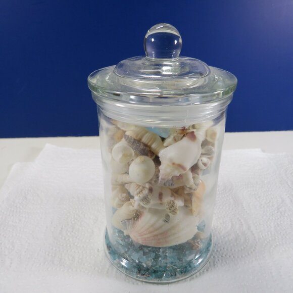 REAL sea shells in a New Glass Jar w seal & lid 5.75" tall (1+ pounds) - Picture 5 of 14